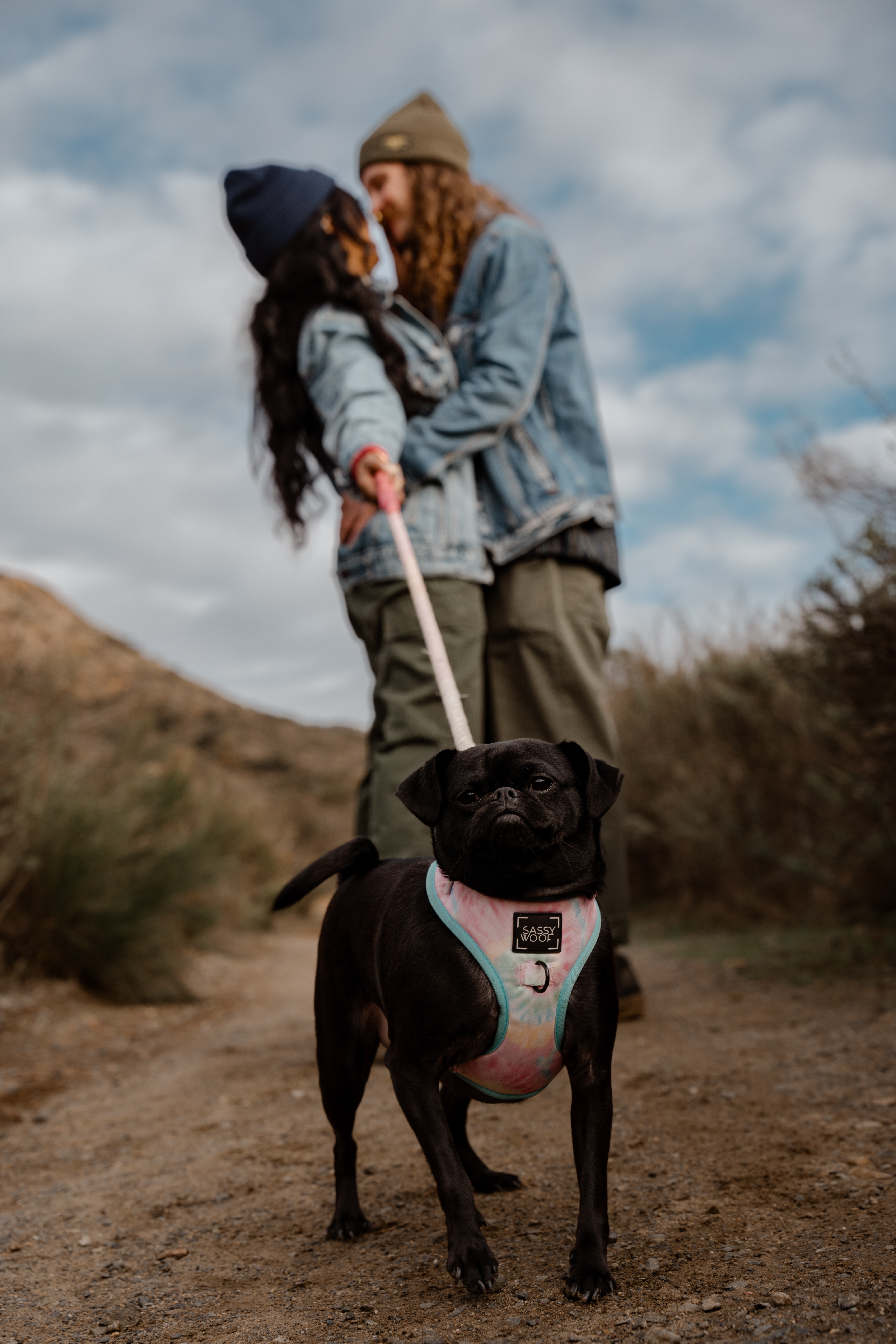 Portraits & Engagements